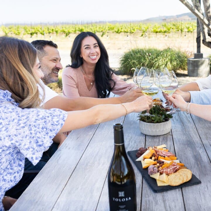 Our tasting options are perfect for large groups or intimate gatherings. During a tasting, you can explore the best regions in California for Pinot Noir and Chardonnay.