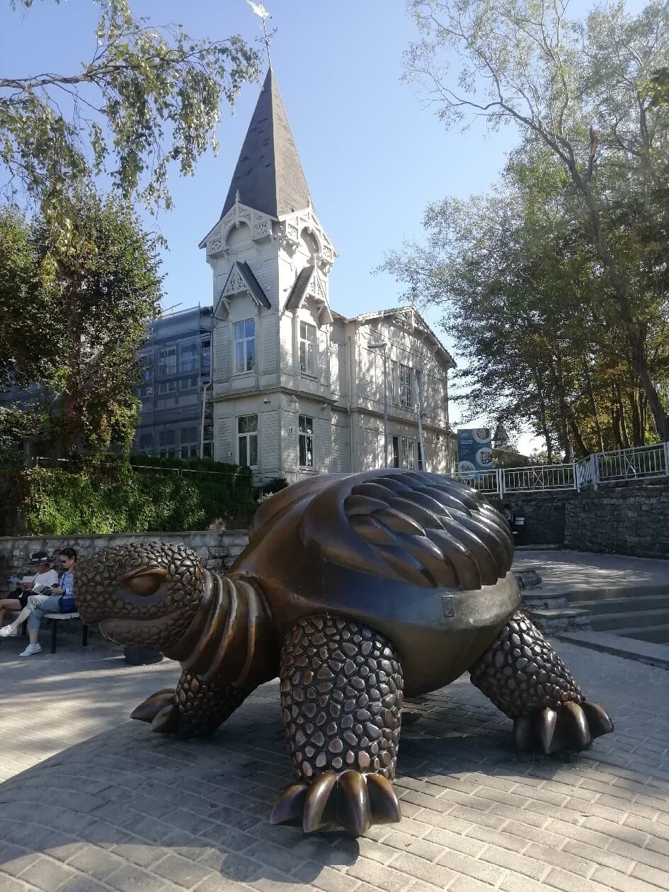 Turtle Sculpture Majori