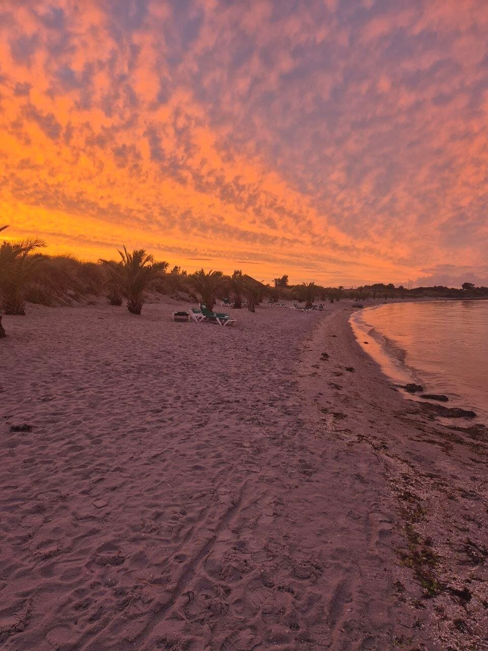 Palmestranden Palm Beach