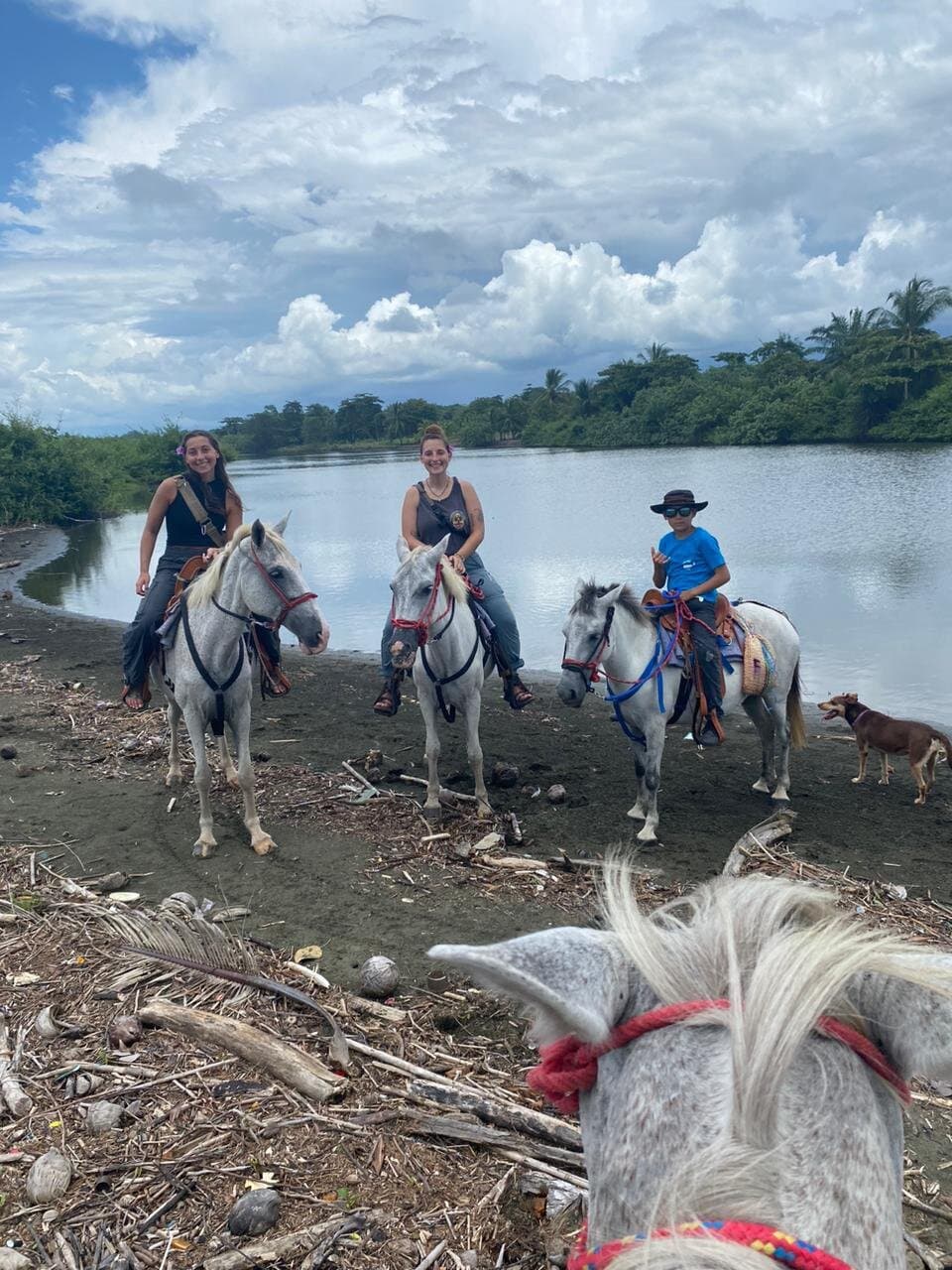 Join us to live a beautiful experience on our horseback riding tour, you can ride along the beach and enjoy its exuberant nature on Isla Damas Horesback Riding, reserve now  acompañanos a vivir una hermosa experiencia en nuestro tour a caballo podras cabalgar a la orilla de la playa y disfrutar de su exsuberante naturaleza en Isla Damas Horesback Riding reserva ya
