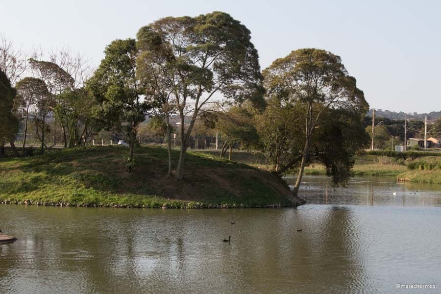 Lago. 