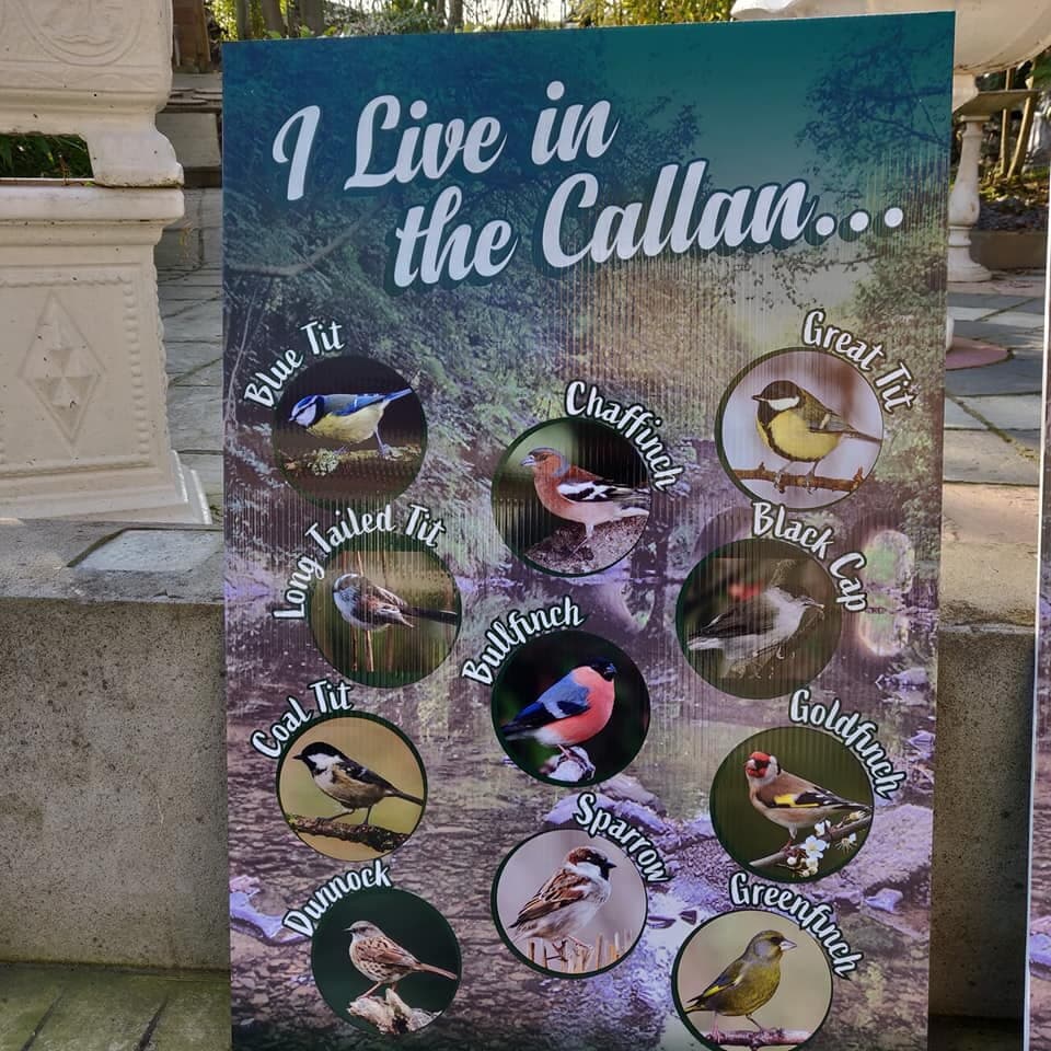 wildlife and fish species that inhabit the Callan river and it environs. the river has been improved and preserved by various environmental groups  from the Armagh city and district area 