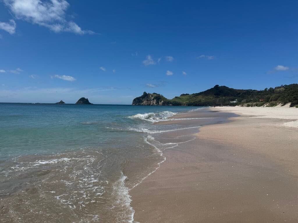 Hahei Beach