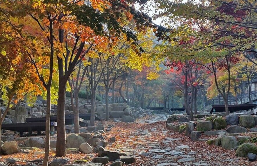 Biseulsan Natural Recreation Forest