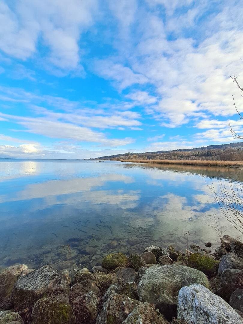 yverdon beach on winter 2024