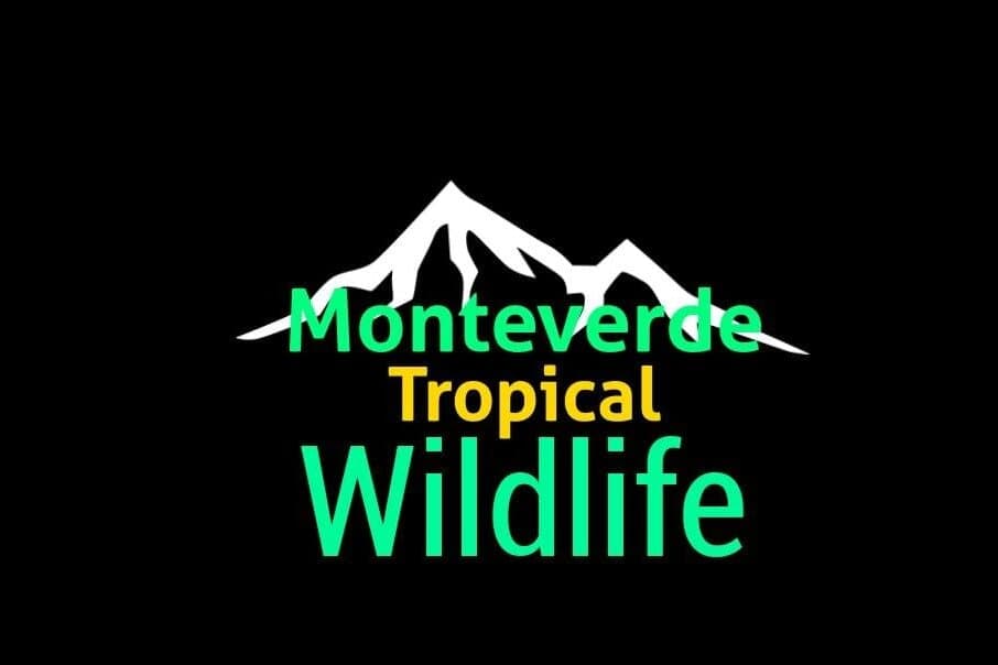 Santa Elena Cloud Forest Reserve Monteverde Costa Rica