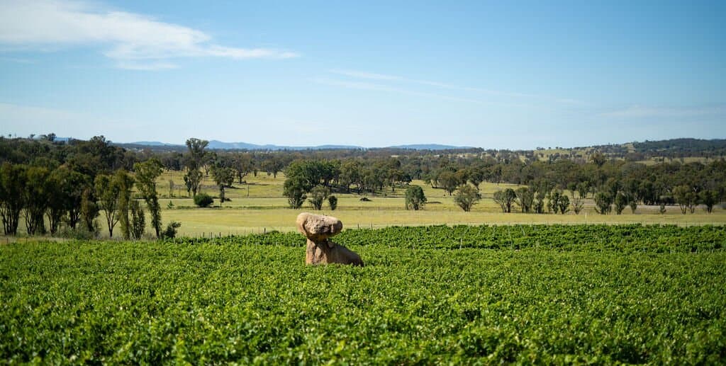 Balancing Heart Vineyard