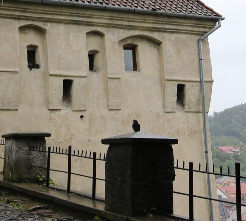 Vue de cette tour