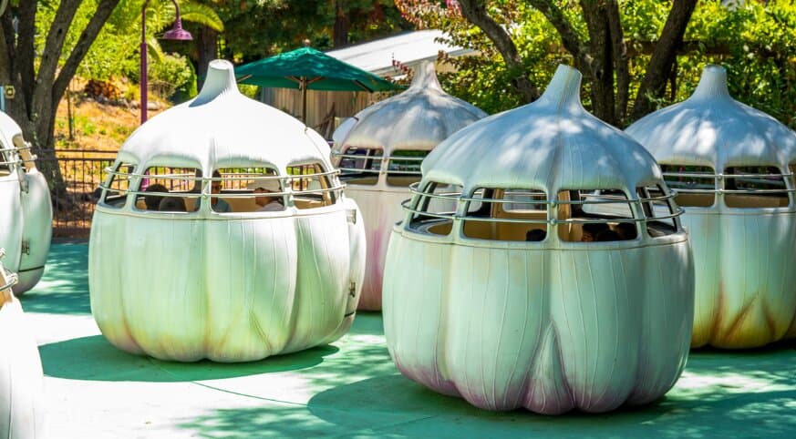Garlic Twirl Ride