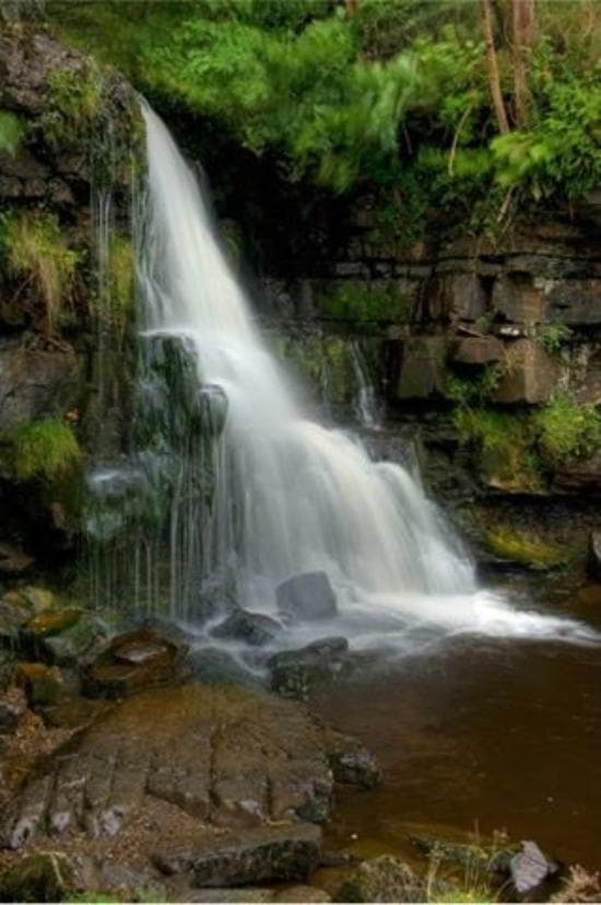 getlstd_property_photo