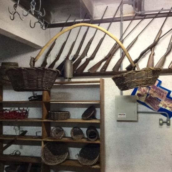 Dispositivo para carregar uvas.