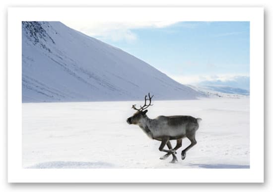 Feel the Spirit on Nature