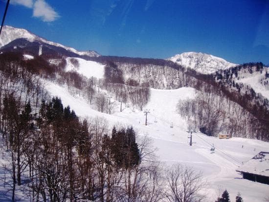 ゴンドラからの景色