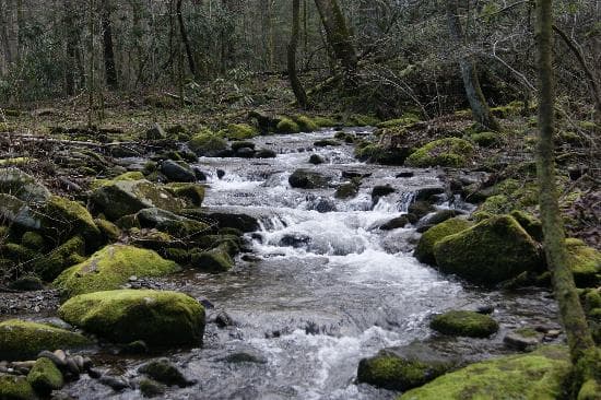 cascading creek