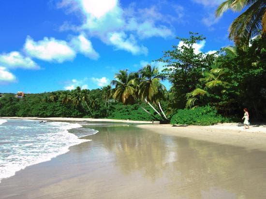 La Sagesse Beach and Nature Center