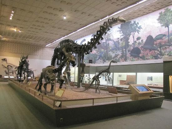 Dinosaurs