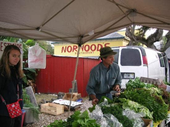 One of the Local Farmers and all Natural NO SPRAYS