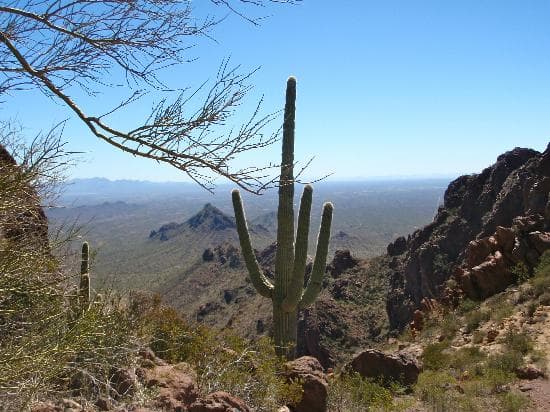 Ah, we made it! Simply Beautiful!