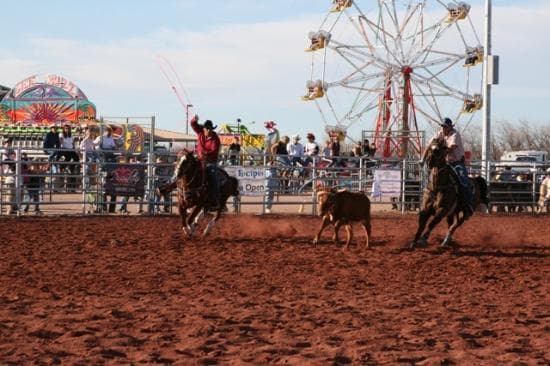 Queen Creek Roots N' Boots Rodeo