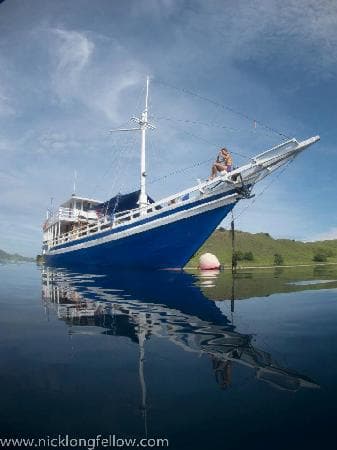 The Tatawa: Safari Trips into Komodo