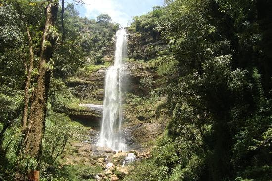 La cascada