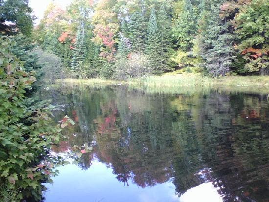Pond at Valley Spur-Fall 2012
