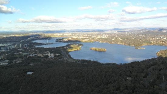 View from Back Mountain Tower