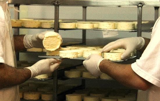 Viewing windows and Cheese Tutorials 11am & 3pm daily