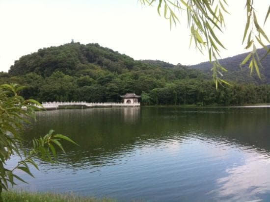 Pagoda on the water