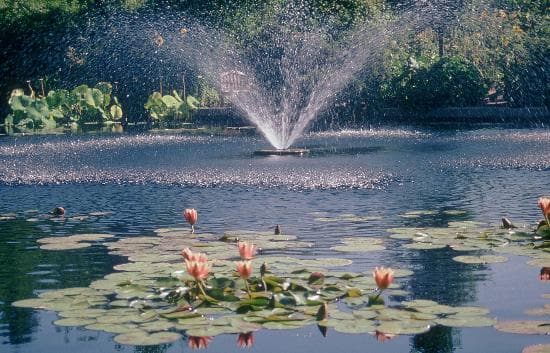 Pond with fountain, Denver Botanical Gardens
