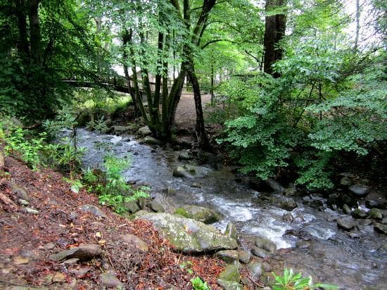 Creek