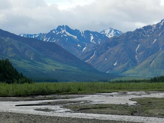 Scenery at Denali National Park