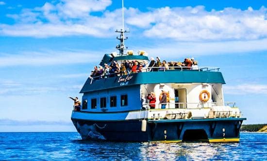 Bonne Bay Boat Tour