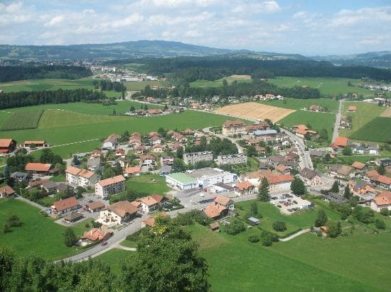 The Town of Gruyeres
