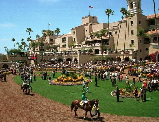 Paddock

