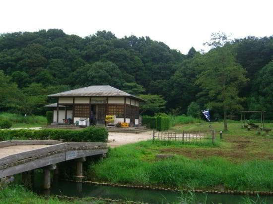 風景
