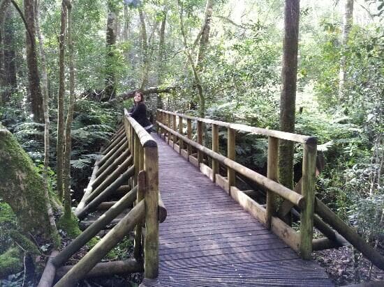 beautiful surroundings
