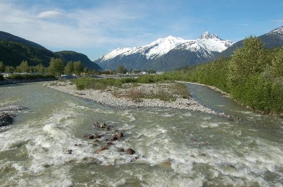 Facing south on the Skagway River/Pat Moore Bridge: 7 Pastures is the area to the right.
