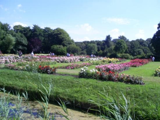 Westbroekpark & Rose Garden