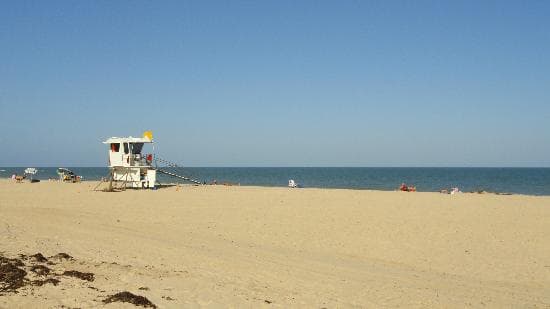 Can you say no one here?