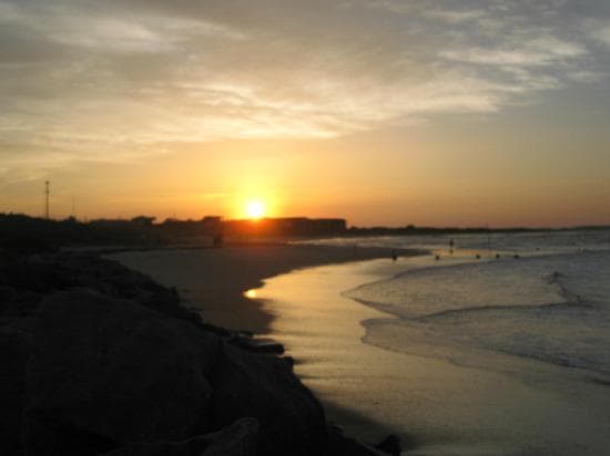 Tybee
