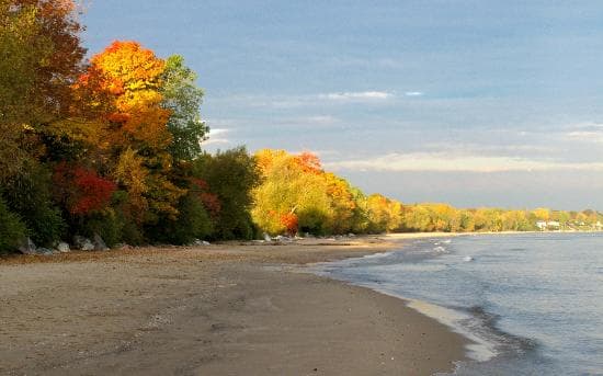 Along the Lake