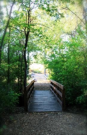 Bridge Path
