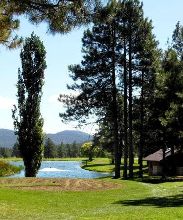 View from a fairway.