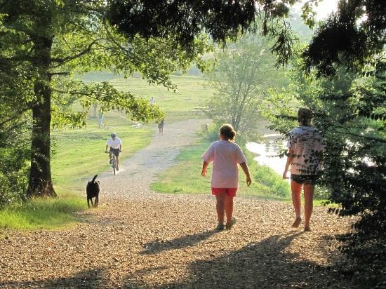 The Best Dog Park EVER!!!!!! Hundreds of acres of trails, feilds, paths and lakes.
