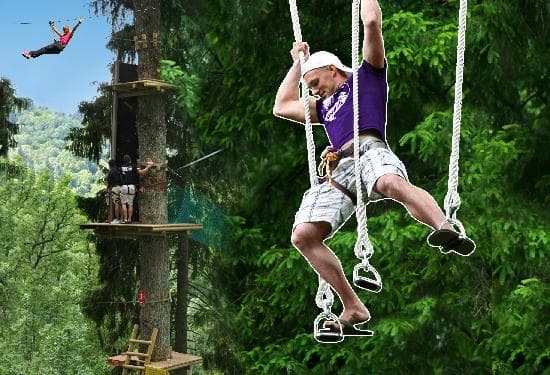 Tarzan's Obstacle Park
