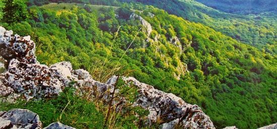 Szentlélek Monastery Ruins