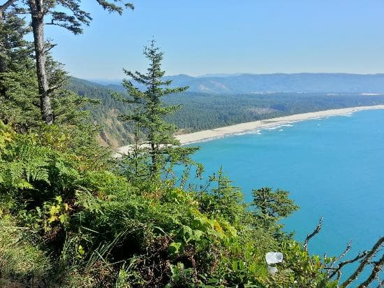 View from the Cape Trail