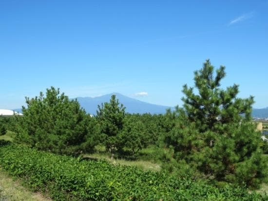 敷地内から見える鳥海山の眺望
