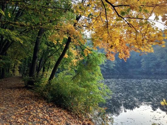 pond at Zelezna studnicka
